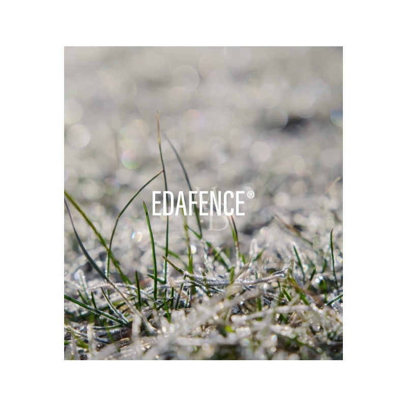 C Ferulic seerumgeel-marimee beauty-4.jpg