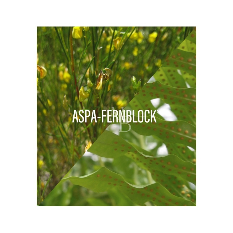 Cantabria Labs- Gel Oil-Free SPF 50-5.jpg